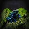 black and blue frog sitting on jungle leaf isolate, generative AI