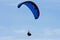 Black and blue paraglider at Torrey Pines Gliderport in La Jolla