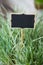 Black board for writing chalk text in tall grass. Selective focus with shallow depth of field. Perennial decorative cereal for