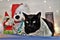 Black bobtail cat ready for Christmas