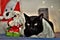 Black bobtail cat and Santa Claus doll