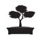 Black Bonsai Tree. Vector Illustration