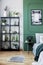 Black bookshelf with plants in the corner of chic bedroom interior with green wall