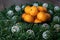 Black bowl of satsuma oranges in a Christmas wreath with silver ball lights