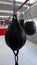 Black boxing pears