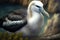 Black-browed albatross in Antarctica, AI generated