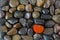 Black brown stones with one coral orange pebble gravel stands out between dark ones