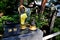 Black Buddha and praying raccoon statue at the entrance of the Zenko-ji temple in Japan