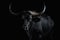 a black bull with horns standing in a dark room, AI generated