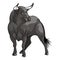 Black Bull. Isolated vector illustration