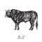Black bull profile standing, hand drawn ink doodle, sketch, vector illustration