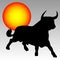 Black bull and the sun