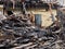 Black burned timbers and walls in a collapsed house destroyed by fire