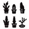 Black cactus silhouettes isolated on white background