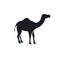 Black camel element  icon vector illustration design template