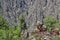 Black Canyon of the Gunnison, Colorado