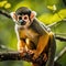 Black capped squirrel monkey  Made With Generative AI illustration