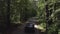 Black car moving on countryside highway on green forest background drone view