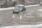 Black car rides on big puddle in snowy day. Sleet splash on a Manchester\'s road.03/03/2016 Manchester, England editoria