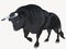 Black Cartoon Bull