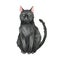 Black cat animal. Watercolor illustration. Hand drawn dark fur domestic funny animal. Black cat cartoon image. Halloween