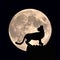 A black cat on the background of the moon. A nocturnal predator.