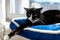 A black cat with a black and white snout, lying on a blue bed on a windowsill, a blue sky in the background.