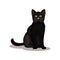 Black cat with bright green eyes. Home pet. Small domestic animal. Flat vector for book about divination or Halloween