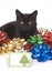 Black cat and christmas bows