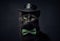 Black cat in cylinder hat and bow tie on black background. Funny serious pet.