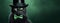 Black cat in cylinder hat and bow tie on dark green background. Funny serious pet.