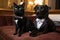 a black cat and a dog in tuxedos, attending a gala event for the animals