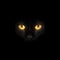 Black cat eyes in darkness background