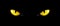Black cat eyes, yellow glowing panther pupils