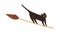 Black cat flying on witch broom. Cute funny creepy kitty flies on Helloween holiday. Spooky adorable feline animal