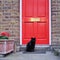 Black Cat In Front Of Red Door