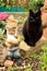 Black Cat and gartenzwerg garden gnome