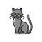 Black cat Halloween animal isolated mystery kitten