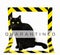 Black cat isolated with black and yellow signal tape. Conceptual image of dangerous animal