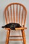 Black cat laying on orange wooden chair head hanging over the edge just relaxing