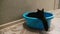 A black cat lies in an empty blue basin, turns around and licks its nose