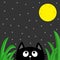 Black cat looking stars and moon in the dark night.