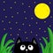 Black cat looking stars and moon in the dark night. Green grass dew drop. Cute cartoon character. Kawaii romantic animal. Greeting