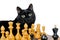 Black cat lying near white chessmen, looking in the camera