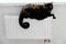 A black cat is lying on the radiator. Heating and cozy house concept