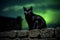 a black cat with mesmerizing green eyes, perched atop a stone wall under the spectral glow of a full moon.