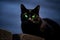 a black cat with mesmerizing green eyes, perched atop a stone wall under the spectral glow of a full moon.
