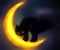 Black cat and moon