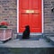 Black Cat And Red Door