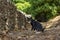 A black cat in ruins buildings at mystras town, Peloponnese, Greece